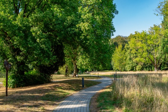 Park_Baumbestand mit Weg_Scholtissek_DSC05475-Bearbeitet