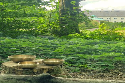 Midsommar_Klangschalen